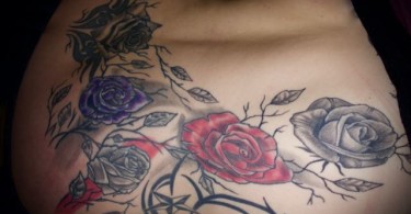 Das Rosen Tattoo: Bedeutung